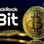 【第1203回】 海外積立（変額プラン）を追加契約で、ビットコインETF（IBIT）積立を始めました。【静岡県 経営者 60代前半 女性】