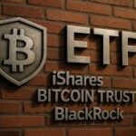 【第1218回】ビットコインETF（IBIT）へ300万円新規投資です。【東京都 会社員 50代後半 女性】