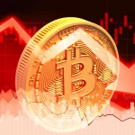 【第1346回】値動き激しいビットコイン投資には元本確保型ファンドが一番です。【大阪府 会社員 50代半ば 女性】